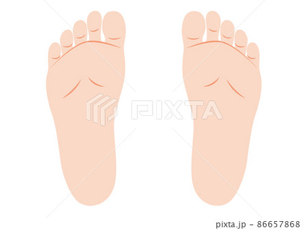 女性の両足の裏 86657868