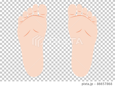 女性の両足の裏 86657868