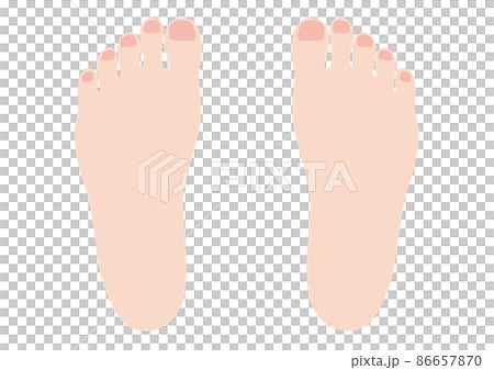 Insteps of both female feet Insteps of both female feet 86657870