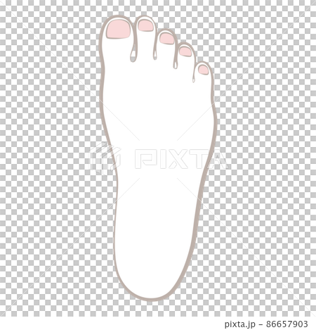 女性右腳背 86657903