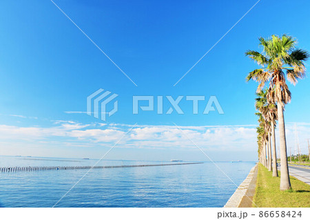 千葉県　青空の千葉フォルニア 86658424