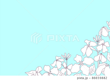 春の草花が咲いている風景 線画と水色背景のおしゃれなポストカード はがきサイズ横型 春の草花が咲いている風景 線画と水色背景のおしゃれなポストカード はがきサイズ横型 86659882