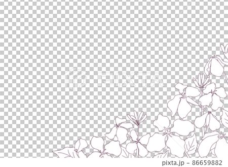 春の草花が咲いている風景 線画と水色背景のおしゃれなポストカード はがきサイズ横型 春の草花が咲いている風景 線画と水色背景のおしゃれなポストカード はがきサイズ横型 86659882