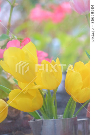 春イメージ、花盛り 86659984