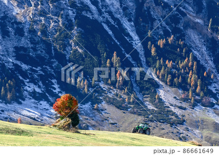 Lonely autumn tree and tractor after haymaking in the highlands of Seiser Alm plateau 86661649
