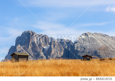 Seiser Alm plateau in autumn with a view of Langkofel Group mountains (Sassolungo and Sassopiatto) 86661650