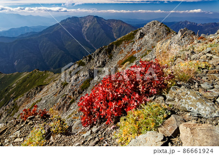南アルプス・北岳山頂の草紅葉と仙丈ヶ岳 南アルプス・北岳山頂の草紅葉と仙丈ヶ岳 86661924