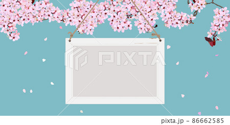 桜の花とホワイトボードと舞う花びらのバナー 86662585