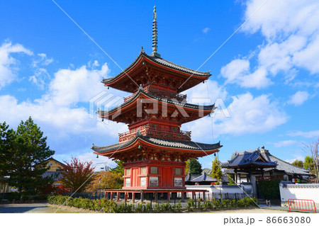 【瀬戸内三十三観音霊場】第二番　遍照院境内と晩秋の空6　岡山県倉敷市 86663080