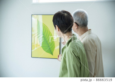 シニアのライフスタイル 86663519