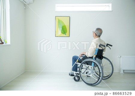 シニアのライフスタイル シニアのライフスタイル 86663529