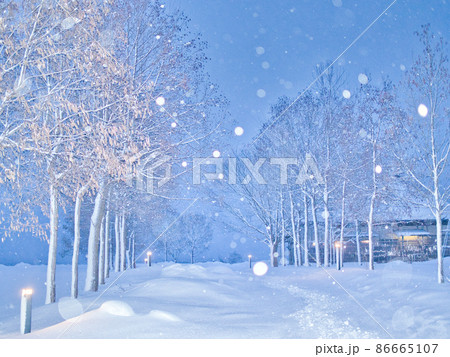 公式】佐世保市インスタグラム | 雪景色⛄️ . . 佐世保でも数年