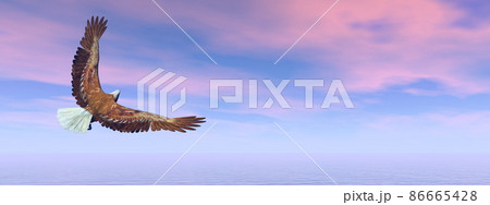 Eagle flying over the ocean - 3D render Eagle flying over the ocean - 3D render 86665428