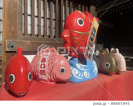 五匹並んだ川越氷川神社の鯛 五匹並んだ川越氷川神社の鯛 86665945