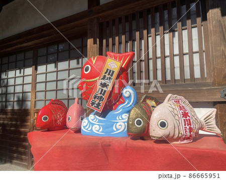 五匹並んだ川越氷川神社の鯛 五匹並んだ川越氷川神社の鯛 86665951