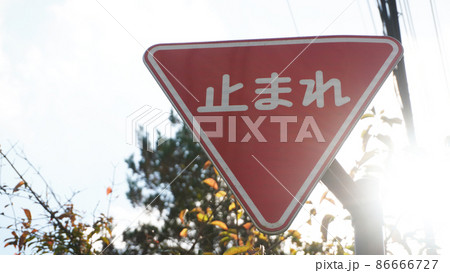 日本の道路交通標識＜20＞（逆光の一時停止標識） 86666727