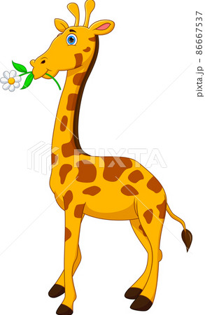 cartoon cute giraffe on white background 86667537