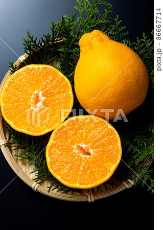 デコポン　黒バック 86667714