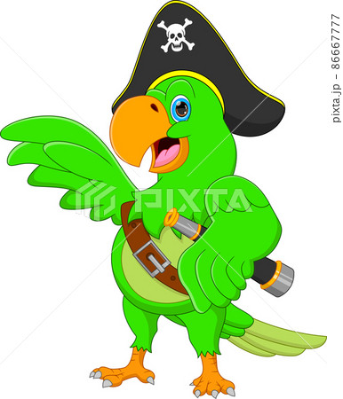 funny pirate parrot cartoon isolated on white background funny pirate parrot cartoon isolated on white background 86667777