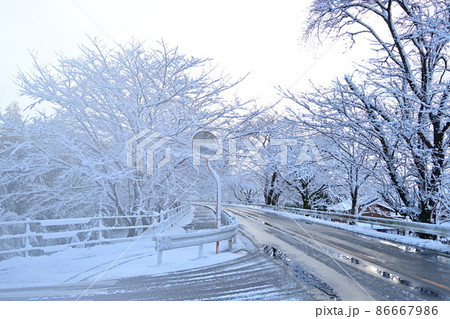 雪景色のサイクリングロードと桜の木 86667986