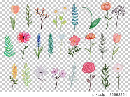 Watercolor Floral Border Painted Loose Style Stock Illustration