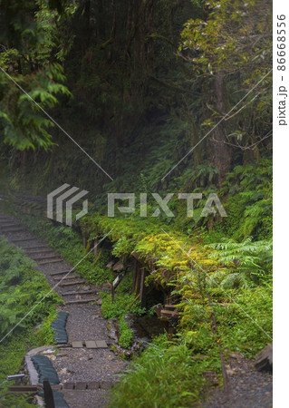 台湾 太平山 有名な 86668556