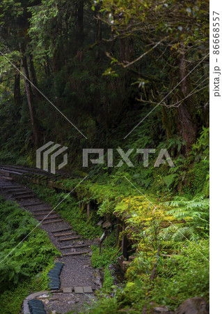 台湾 太平山 有名な 86668557