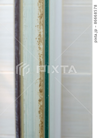 Closeup of the moss stains on the rubber seal of the shower enclosures. Closeup of the moss stains on the rubber seal of the shower enclosures. 86668578