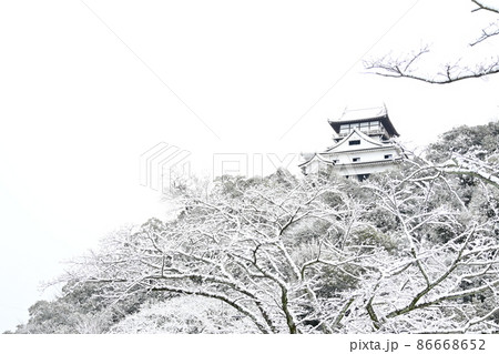 銀世界の犬山城と雪に覆われた桜の木 86668652