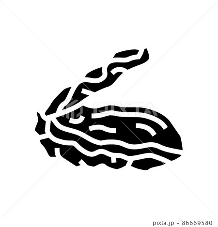 Oyster Opened Shell Glyph Icon Vector Illustrationのイラスト素材