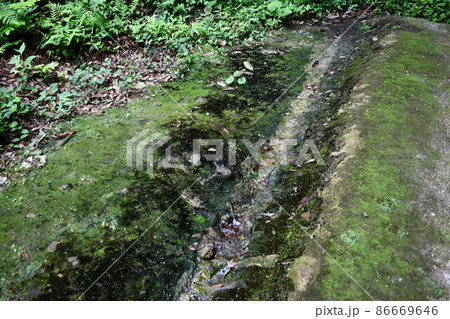 苔が所狭しと生えている水の流れていない小さな水路 苔が所狭しと生えている水の流れていない小さな水路 86669646