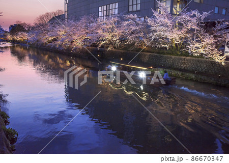 京都岡崎疏水の桜ライトアップと十石舟めぐり 86670347