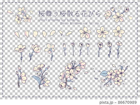 Sakura material illustration set 86670989