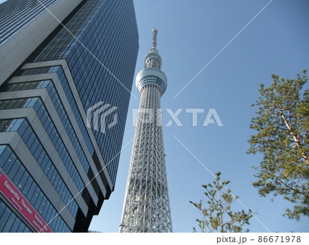 スカイツリー 86671978