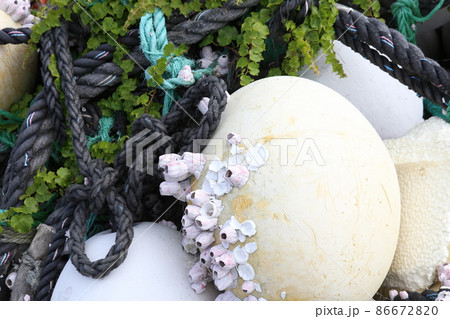 伊勢　国府の浜　夫婦岩　安乗漁港 神路ダム　渡鹿野島 86672820