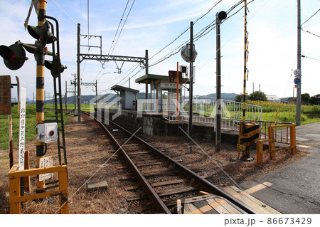 伊賀上野　伊賀鉄道　JR伊賀上野　ひまわり 86673429