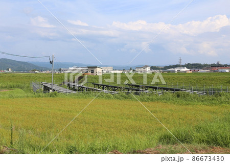 伊賀上野 伊賀鉄道 JR伊賀上野 ひまわり 伊賀上野 伊賀鉄道 JR伊賀上野 ひまわり 86673430