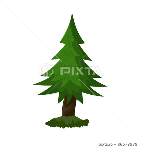 Realistic dense green spruce isolated on white background - Vector 86673979