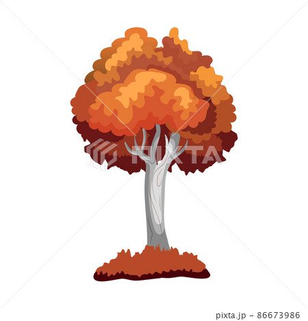 Realistic green deciduous tree isolated on white background - Vector 86673986