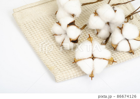 Cotton ball flower on cotton fabric. Studio Photo 86674126