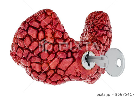 Human thyroid with key. Research and diagnosis concept. 3D rendering 86675417