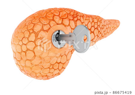 Human pancreas with key. Research and diagnosis concept. 3D rendering 86675419