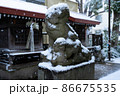雪化粧をした狛犬 狛犬の上に降り積もる雪 神社の雪景色 86675535