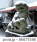 雪化粧をした狛犬 狛犬の上に降り積もる雪 神社の雪景色 86675586