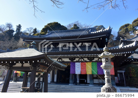 鎌倉 長谷寺 鎌倉 長谷寺 86675994
