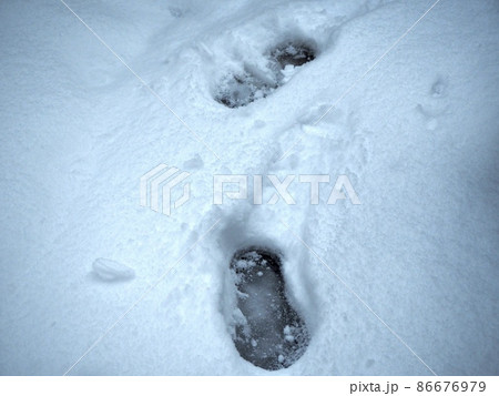 雪の中の足跡 冬の景色 雪の中の足跡 冬の景色 86676979