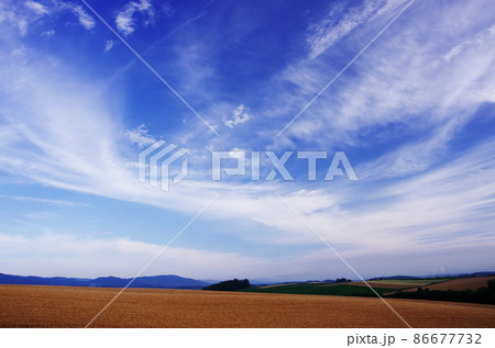 夏雲活気 86677732