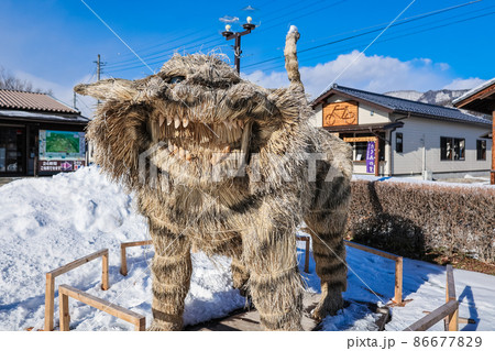 雪の寅 86677829