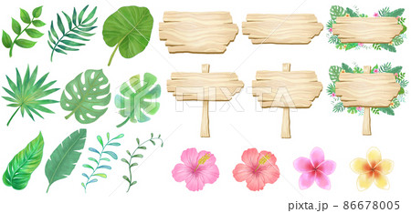 木のサインボードと南国の植物のイラストセット　文字入れフレーム 86678005