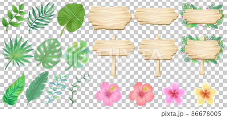 Wooden sign board and tropical plant illustration set Character frame 86678005